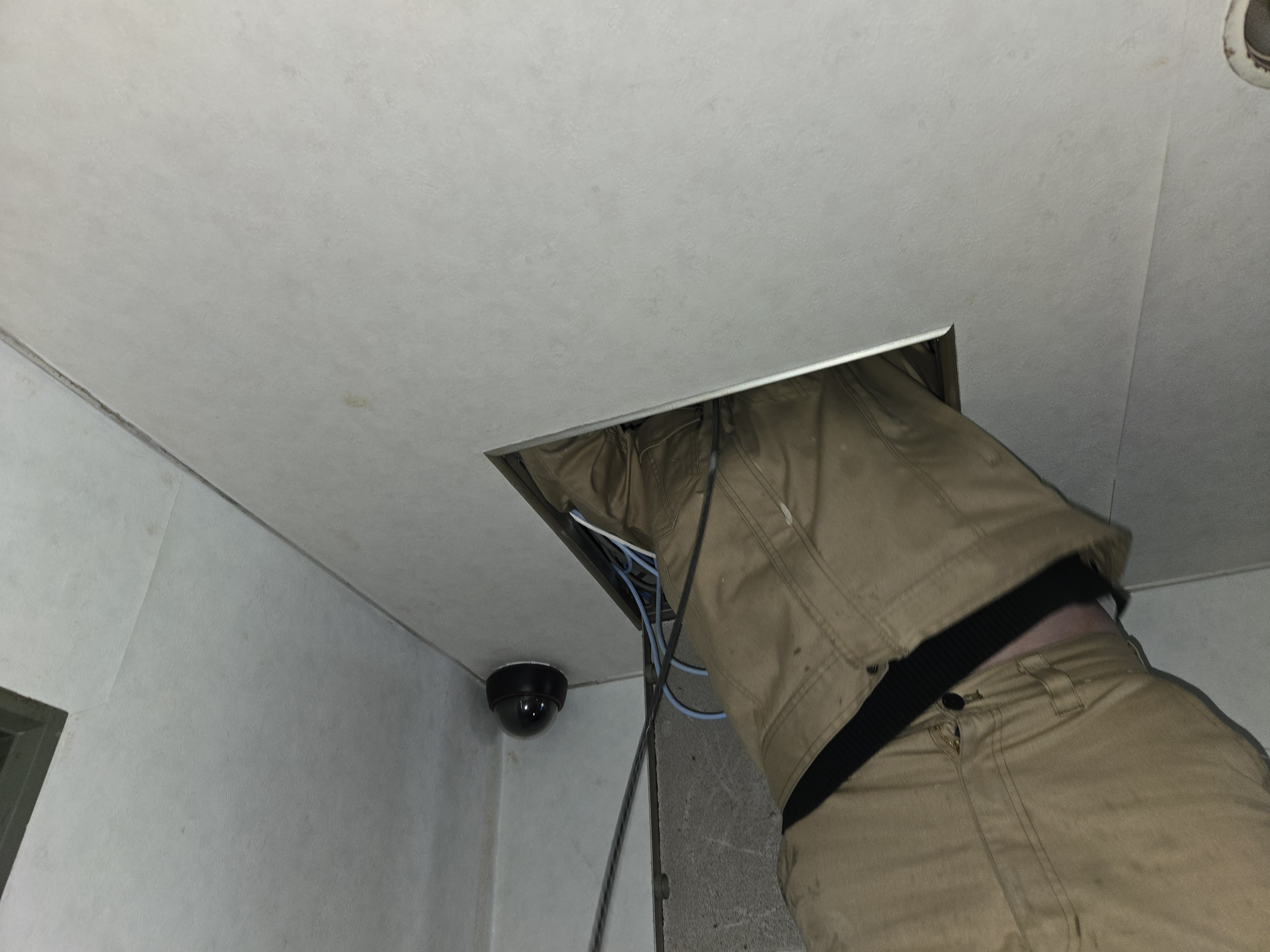 天井内配線の確認作業